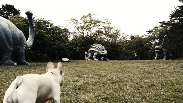 小室山公園恐竜広場　犬